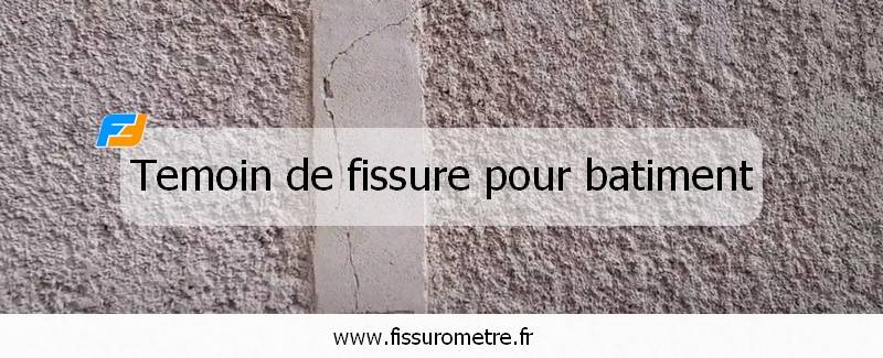 temoin fissure batiment